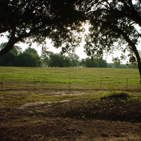 If you don't see it, you aren't looking. USN Veteran. Proud Texan. 
And the light shineth in darkness; and the darkness comprehended it not. John 1:5