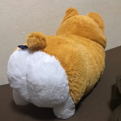 bull_kyoto's profile picture. G1809549fx 。専業。スキャルピングでコツコツと収支を増やしていく。一つの手法を昇華していくスタイル。