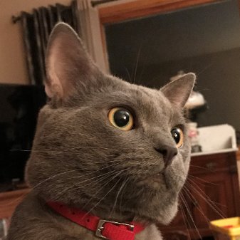 EgilLindgren's profile picture. Analyst, Nordic, Coffee connoisseur