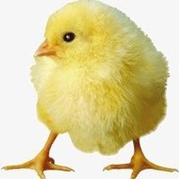 @Ahmad@ (@00almard00) 's Twitter Profile