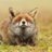 kendiefox's avatar