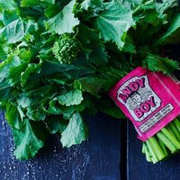 Broccoli Rabe (@eatbroccolirabe) 's Twitter Profile Photo