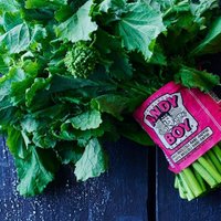 Broccoli Rabe(@EatBroccoliRabe) 's Twitter Profile Photo