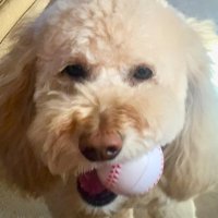 Mike Van Hook (@vanhook69) 's Twitter Profile Photo Mike Van Hook (@vanhook69) 's Twitter Profile Photo