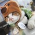 備中松山城 猫城主 さんじゅーろー (@sanju_ro_) Twitter profile photo 備中松山城 猫城主 さんじゅーろー (@sanju_ro_) Twitter profile photo