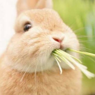 kqWtZ5wUhjCZlee's profile picture. 名古屋に住む大学生3年生。一般的な大学生の目線で、徒然なるままにアウトプットしていきます。2019年12月31日までにフォロワー六千人目指してます。