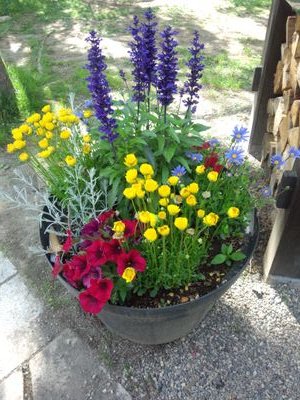 ahaha_ak1's profile picture. 