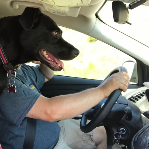 jmacontext's profile picture. journalist