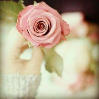 هيفاء🌺.. صمتي عالم لايفهمه الا،، من تعمق به،،، (@8ottrkzm5tx7syb) Twitter profile photo