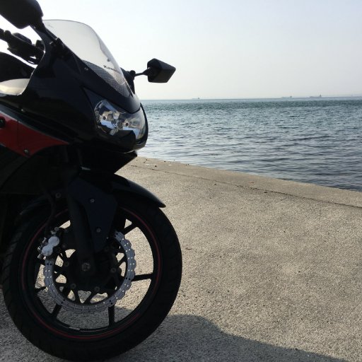 サーバー屋、Webプログラマー。PHPとJS(特にAngular)がメインですがGo触りはじめました。 淡水魚と爬虫類をこよなく愛します。