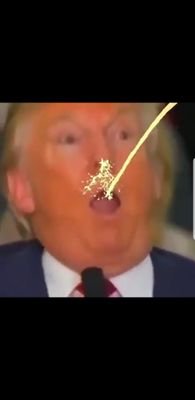 SpiralSmile2's profile picture. Man-Pig 🐖 Socialist 🐖 Feminist 💪 Antitheist⚕️Scientist
 Christians don't believe in 99.99% of gods, but judge those who throw in disbelief of just one more..