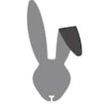 Chibaishere123's profile picture. Saying what I wanna and doin what ever