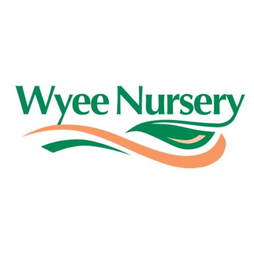 https://t.co/zX9VsOtveR Quality plants seedlings veggies herbs pots & ornaments home & garden giftware & cafe garden ideas & inspiration http://wyeenur