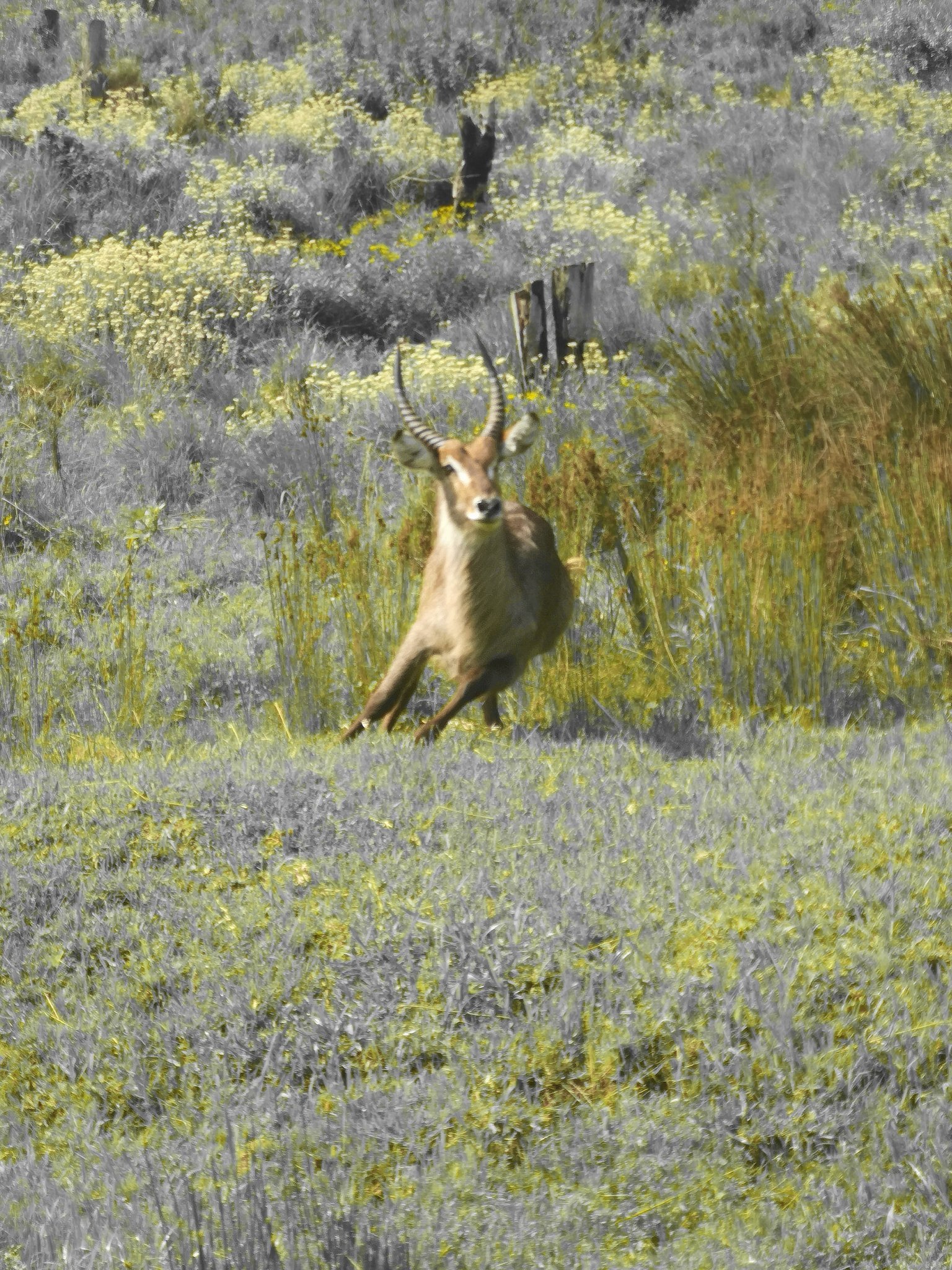 Morne_v_Wyk's profile picture. 