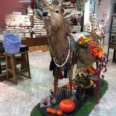 skyflow91323725's profile picture. れんくん🖤推しの箱ティアラ🖤💛