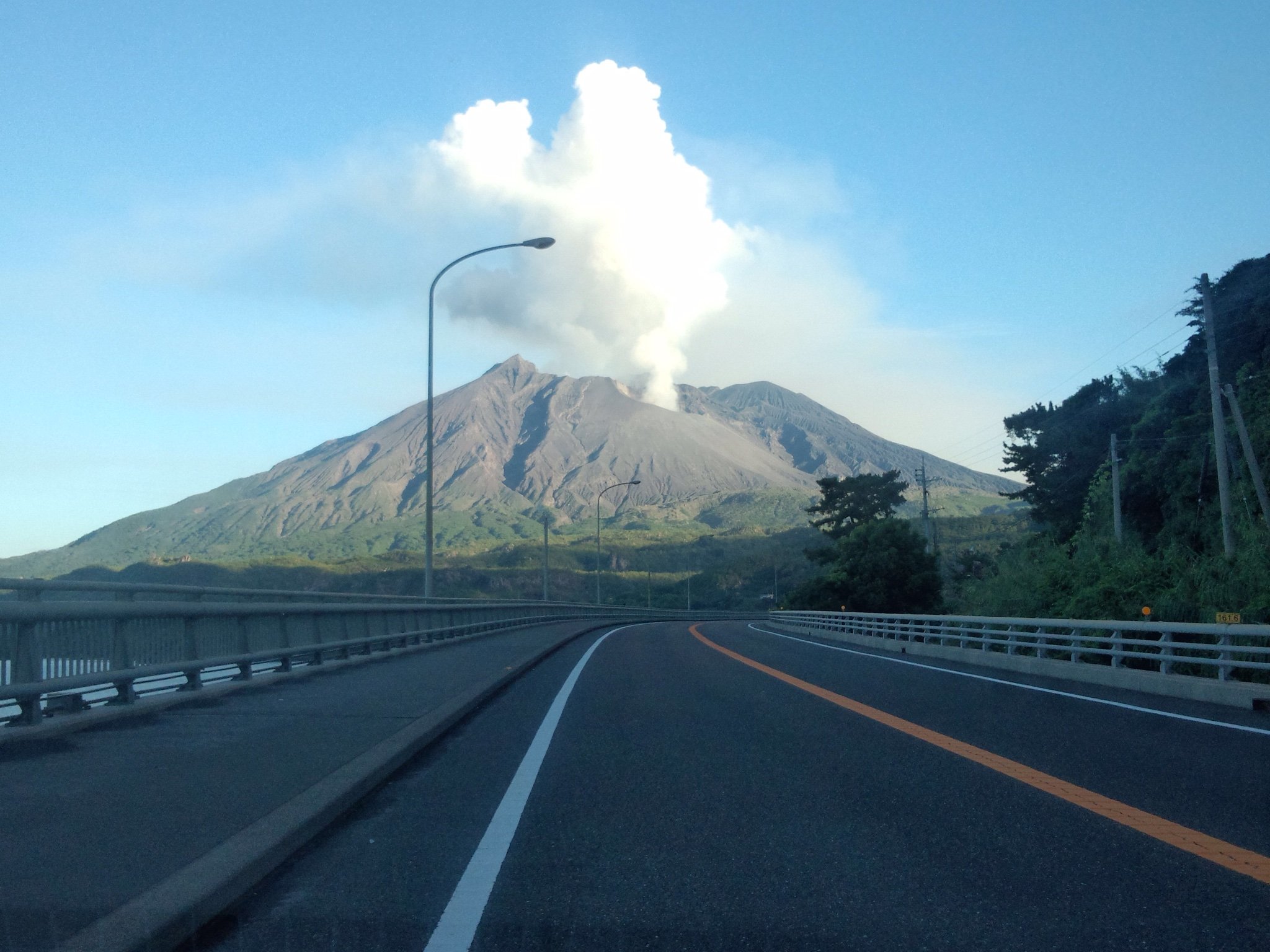 geeeen37965281's profile picture. 