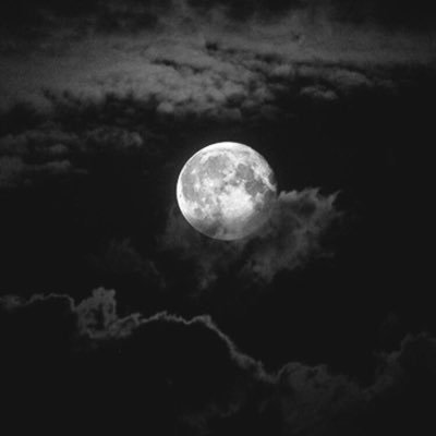 OnUDVbUFI2T7L7y's profile picture. .