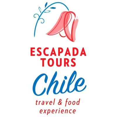 Tours Culturais e Gastronômicos com uma guía brasileira e un chef chileno!! @escapadatourschile