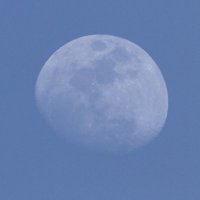 y♡ (@lovesmedpf) 's Twitter Profile