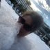 Candy Dell (@candydell4) Twitter profile photo Candy Dell (@candydell4) Twitter profile photo