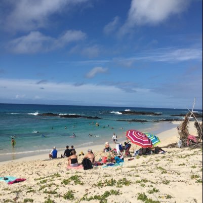 hiroppejp's profile picture. 旅行、温泉、映画好きです。ゆる〜くやってます。