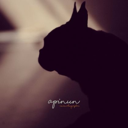 no_apinun's profile picture. 