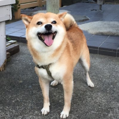 あずきバー Abababcdefg تويتر