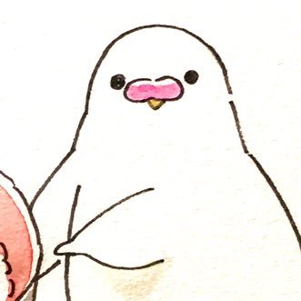 アルビノインコのみるくさんのプロフィール画像