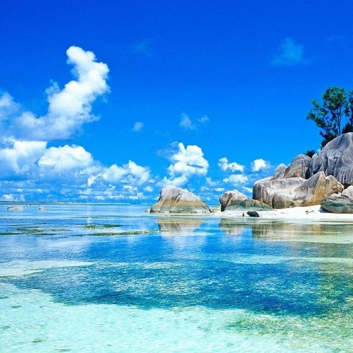 Iole_Latino's profile picture. 