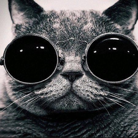 vetall06's profile picture. my usename vetall899