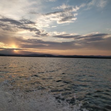 GinTonicSZ's profile picture. 2018 Charter.
Searching for freedom.
🇸🇿