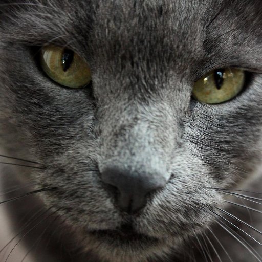 frog20001's profile picture. Пережили голод, переживём и изобилие!