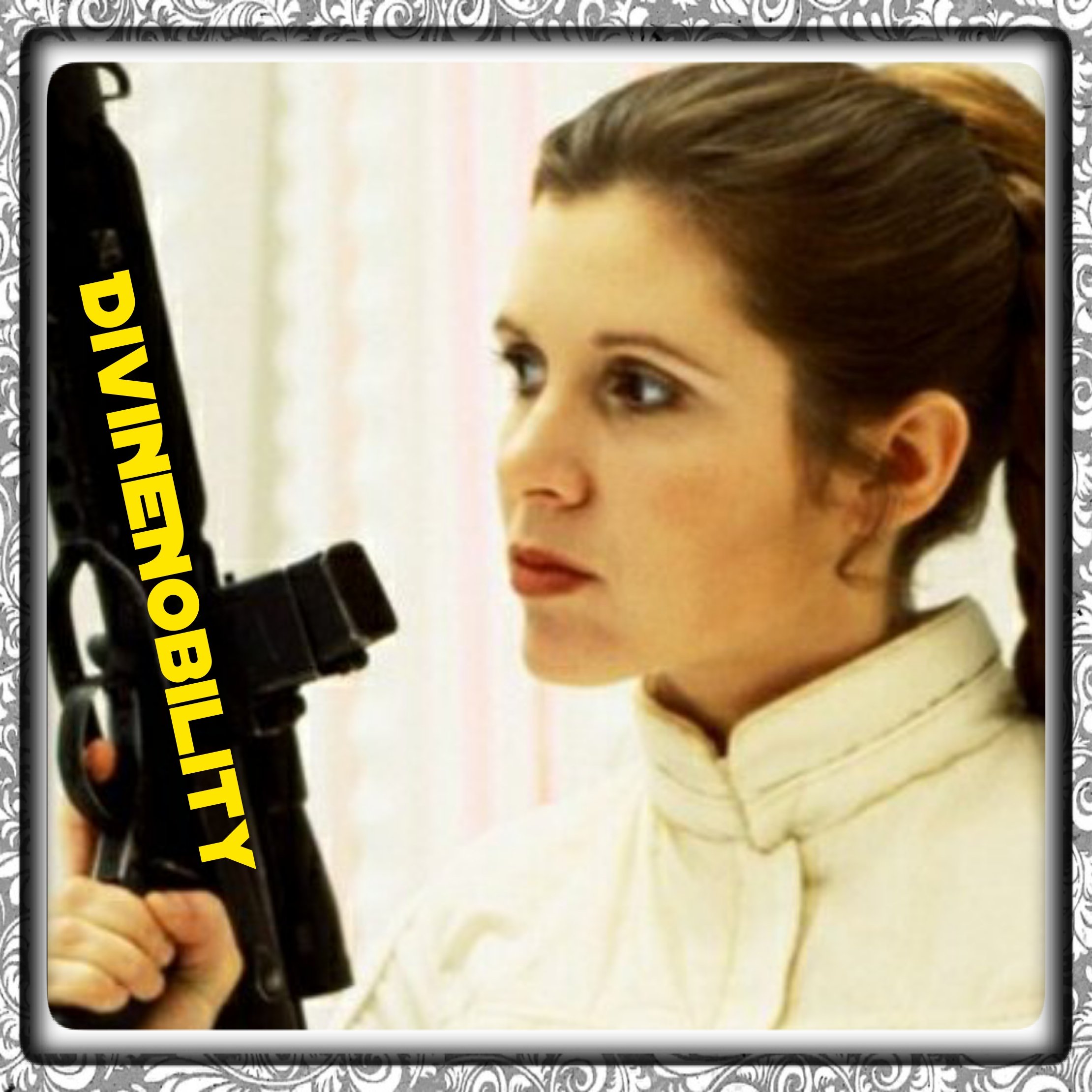 Princess Leia Solo. Parody. Profile