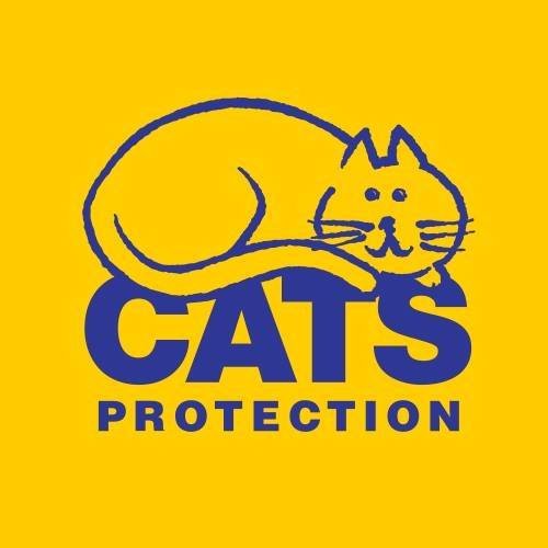 Cats Protection Supawstore Charity Shop located at 93 Crow Road. Open 7 days a week. 0141 357 2075. We support the Glasgow Branch. 😺