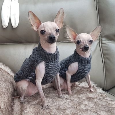 Emma90921294's profile picture. 