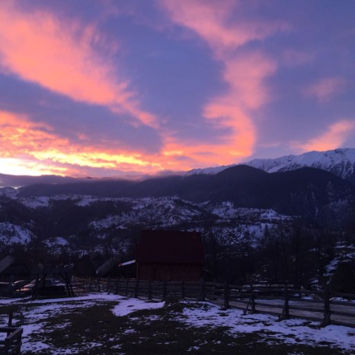 mariancostin's profile picture. 