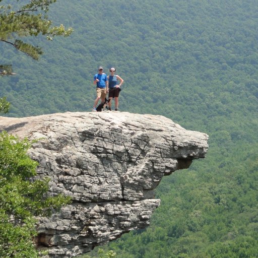 tdpeeps's profile picture. Husband, father, rotten, four-flushing, low-life, snake-licking, dirt-eating, inbred, overstuffed, ignorant, blood-sucking, dog-kissing, Hogs and Lakers fan.