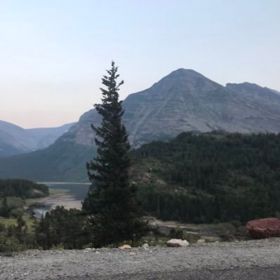 kathleenmac42's profile picture. 