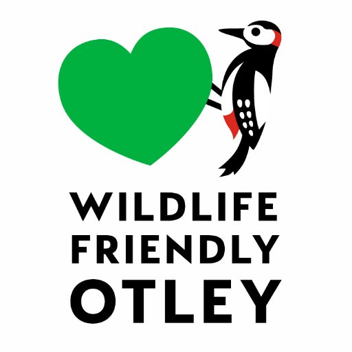 Wildlife Friendly Otley campaigns to raise interest in and awareness of local wildlife and Otley as a wildlife friendly town.