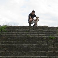Domagoj Domy Rok (@domagojrok) 's Twitter Profile