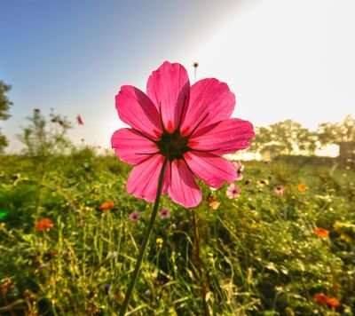 0fFkaNvkkjmulIv's profile picture. รับงานนวดให้ ผู้หญิงเท่านั้น  นวดน้ำมันแบบผ่อนคลาย  นวดกดจุดจิ๋ม  ไม่เย็ดตอนที่ทำงานครับ  งานคืองาน  ต้องการให้สาวๆผ่อนคลาย  ใช้มือนวด เท่านั้น    1 ชั่วโมง1500