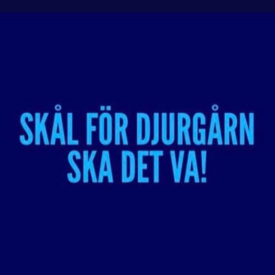 DIF, Sthlm, musik, kläder, historia, tradition & framtid! Sveriges framgångsrikaste idrottsförening!