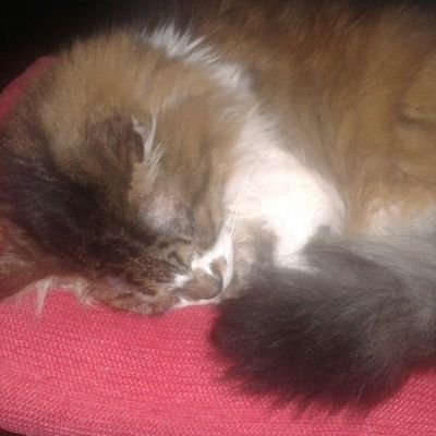 sealit19hotmai1's profile picture. 