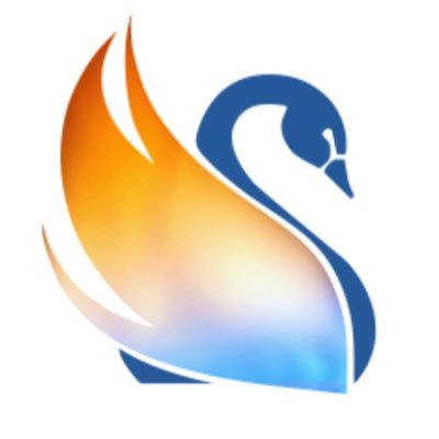 Swan Heating Services