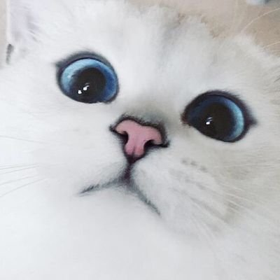 خودمم نمیدونم کیم و چیم فقد میدونم نمیخواستم اینجا باشم🔫🆙