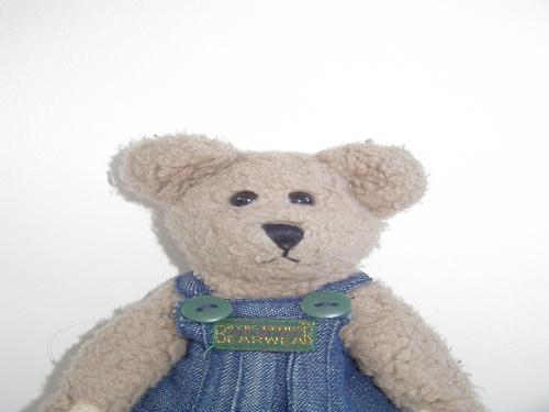 I'm a handy bear.   Yeah.  Watch me color and build stuff with wood. Host of the popular TV show Better Living... with Tizzel