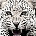 Born Free Live Wild (@jenna52280299) Twitter profile photo Born Free Live Wild (@jenna52280299) Twitter profile photo