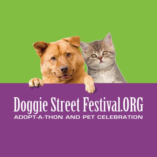 Join us in San Diego SATURDAY NOV.  23, 2024 and in Phoenix SAT. JAN. 25, 2025 for our Adopt-A-Thon and pet celebration!
 #doggiestreetfestival 🐶💗🐱