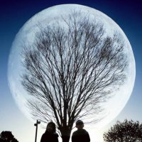 shouji / ショージ 🌕 個展『The New Beginning』 (@shoujixx) 's Twitter Profile Photo shouji / ショージ 🌕 個展『The New Beginning』 (@shoujixx) 's Twitter Profile Photo