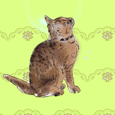 スピカさんのプロフィール画像